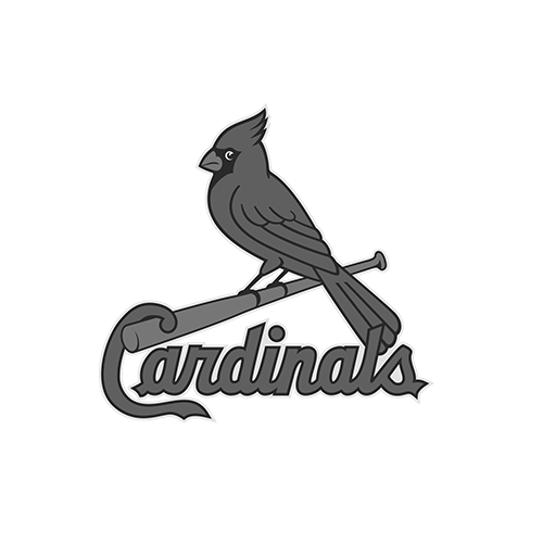 St. Louis Corporate Video Production Client 02